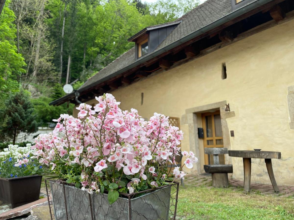 Bed&Breakfast Alte Klostermühle Münstertal Exterior foto